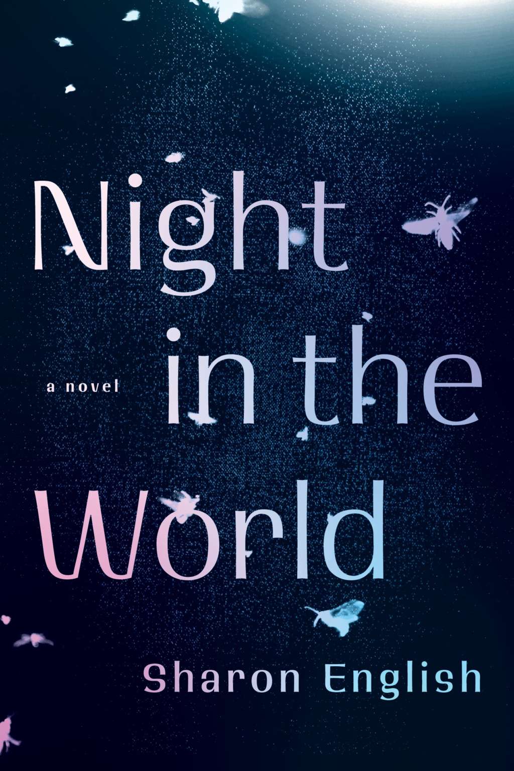 Night-in-the-World-Cover-small